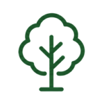 04 tree 250x250