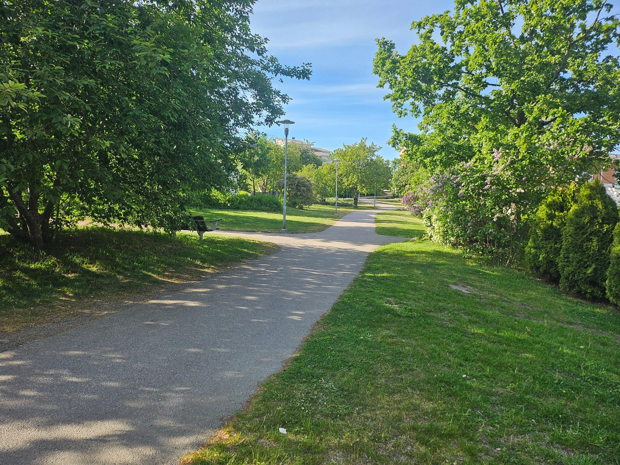 path image 2 compressed